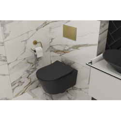 Toilet Pack Frame + SAT Black Rimless Toilet + Matt Black Flush Plate (Alca-BlackSAT-SATAT68)