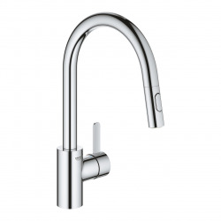 Grohe Eurosmart Cosmopolitan Single-lever Kitchen mixer with pull-out 2 jets, Gooseneck, Chrome (31481001)